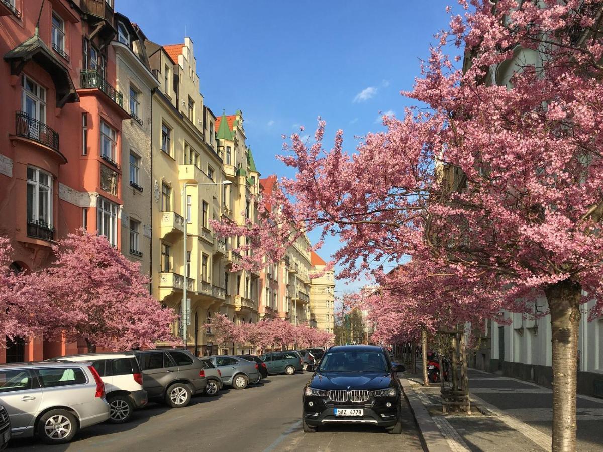 Modern And Huge Apts In Center By Michal&Friends Apartamento Praga Exterior foto